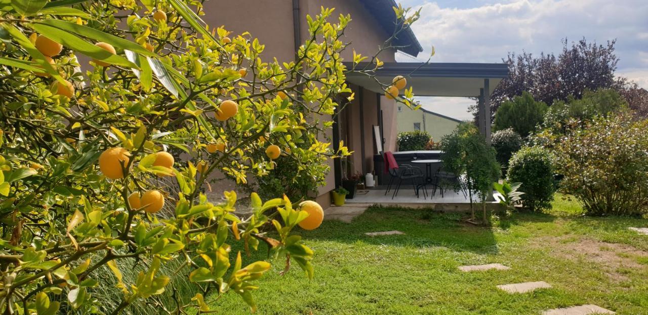 La Tina Lägenhet Zagreb Exteriör bild